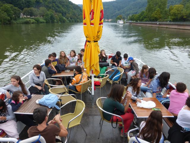 Bild